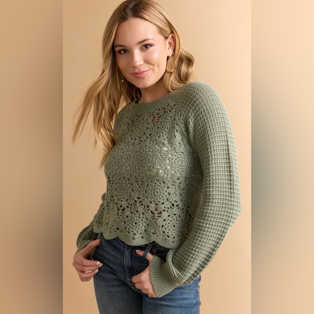 Francesca's Collections Sage Crochet Sweater